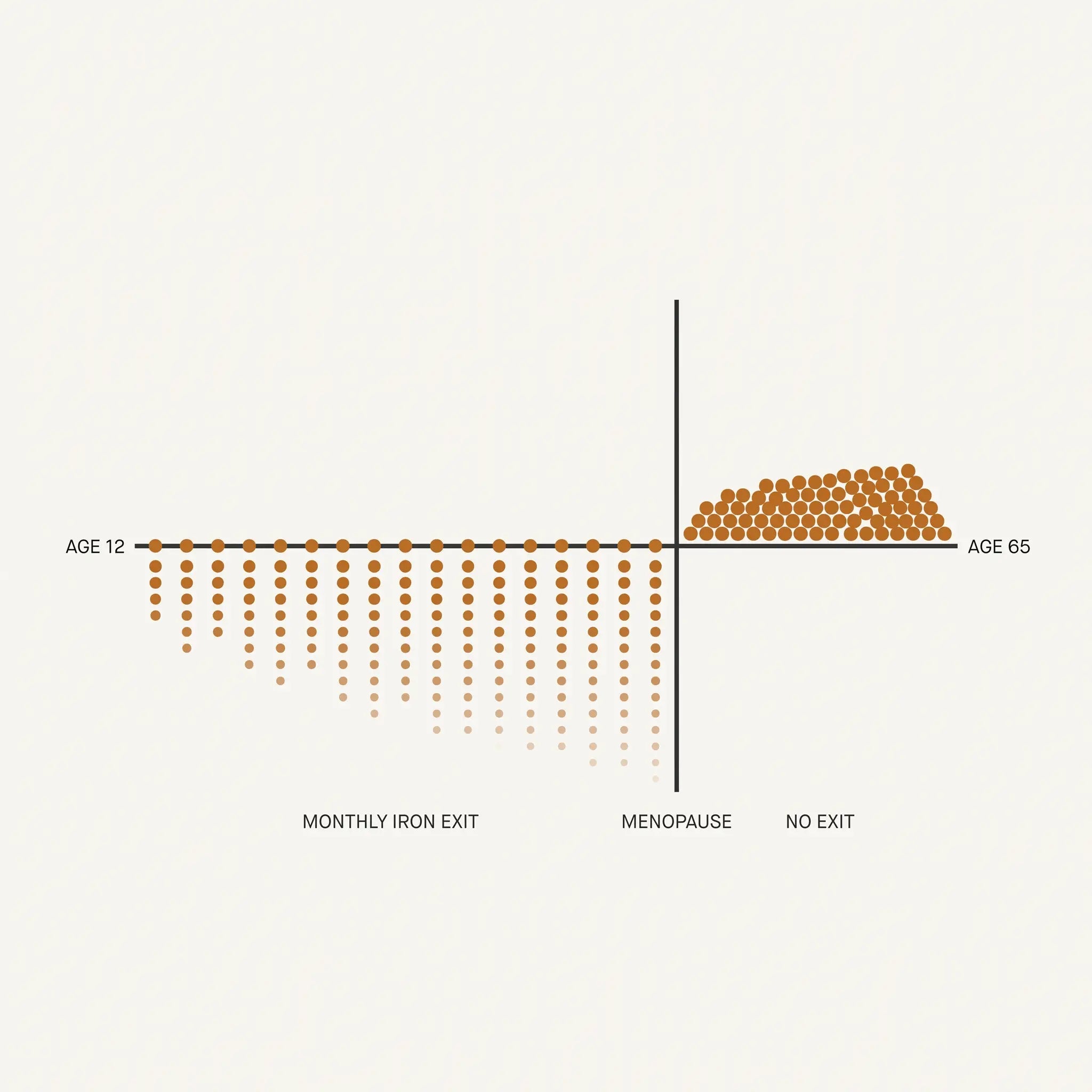 Timeline from age 12 to 65 showing the monthly iron exit closing at menopause