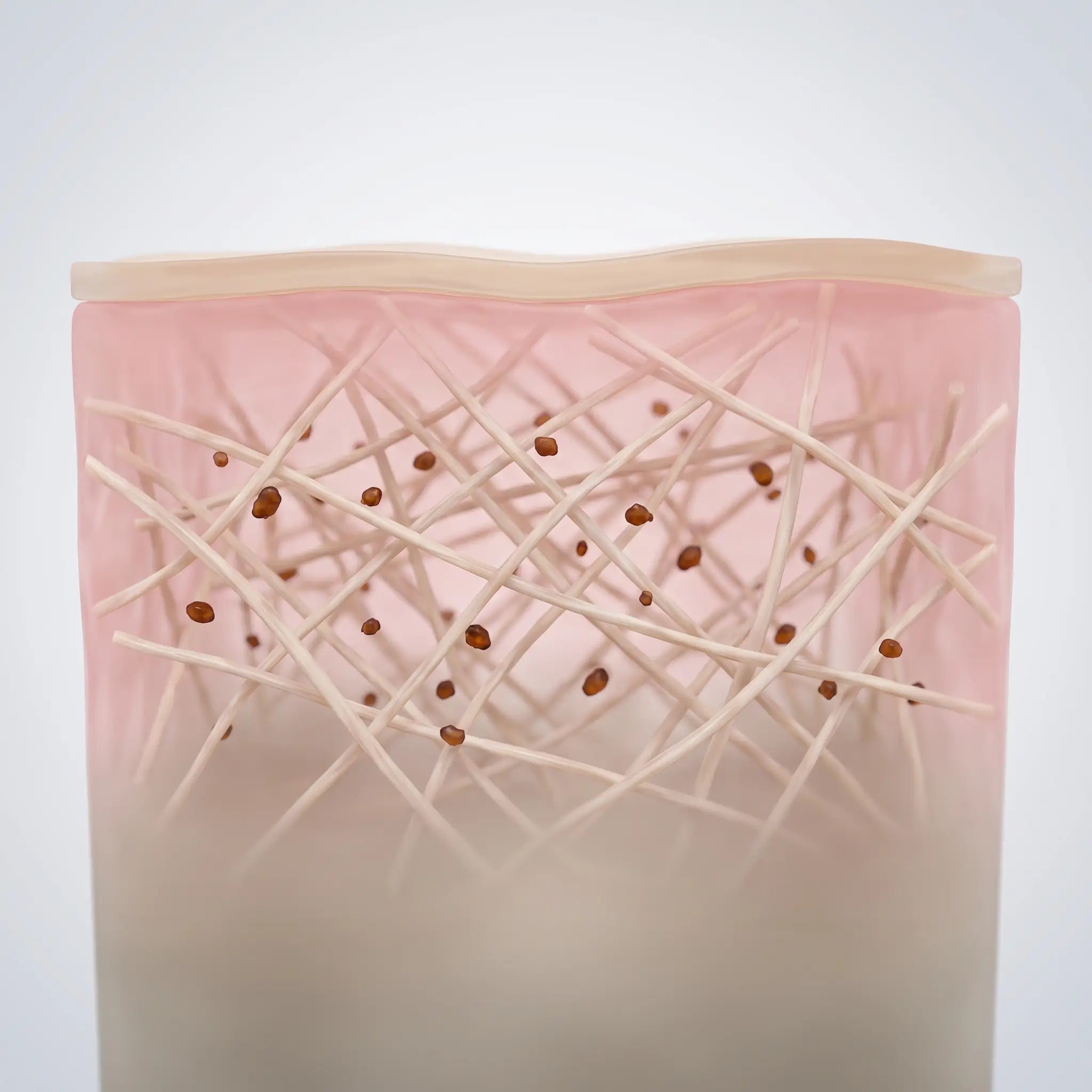 Cross-section of skin layers with iron shown as small particles among the collagen fibres